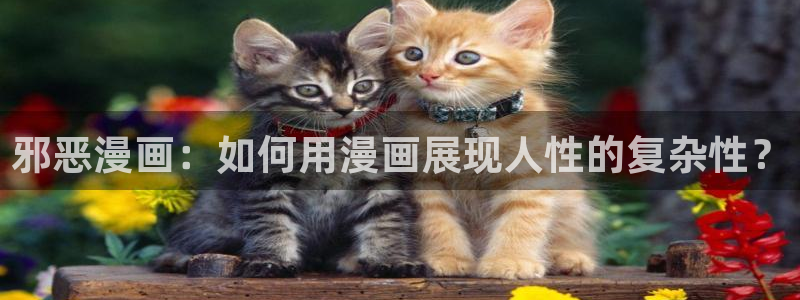 漫蛙漫画网页版免费入口在哪