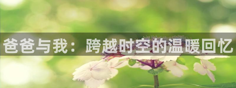 漫蛙漫画网页入口：爸爸与我：跨越时空的温暖回忆
